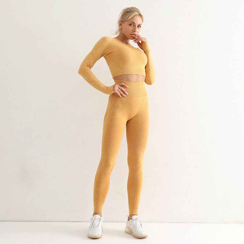 Seamless Yoga Suit Women's Long Sleeve Sports Top High Waist Hip Lifting Sports Tights Pants